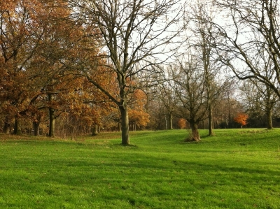 Autumn in Bruntwood Park