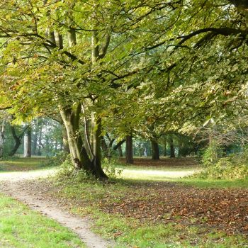 Woodbank Park, upper section, Source: