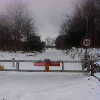 Track up to forest office, Source: