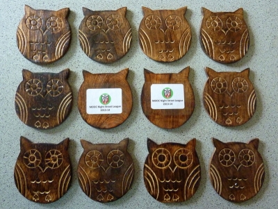 Owl coasters