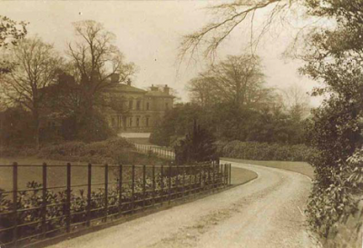 The drive to the Philips House (Middle Car Park) c1900
