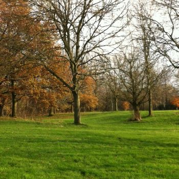 Autumn in Bruntwood Park, Source: