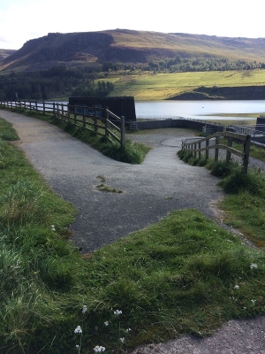 Dovestone Start
